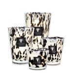 Bougies Black Pearls