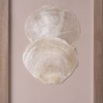 Tableau coquillages 20X30
